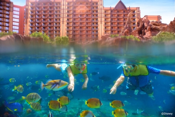 �A�E���j�E�f�B�Y�j�[���]�[�g���X�p �R�I���i �n���C�E�~�b�L�[�}�E�X